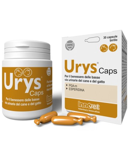 URYS CAPS 30CPS