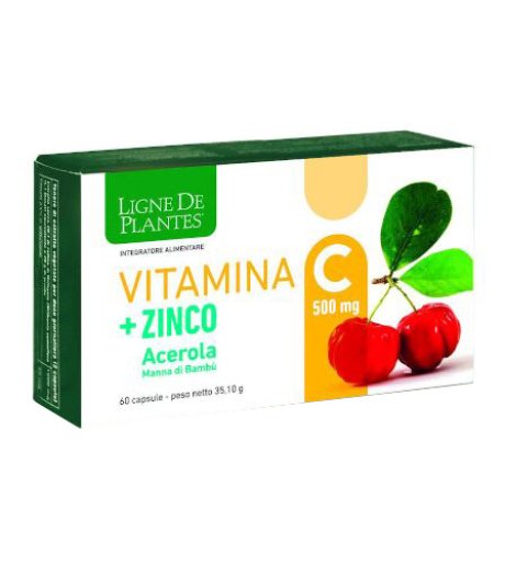 VITAMINA C 500MG+ZI/AC/BA60CPS