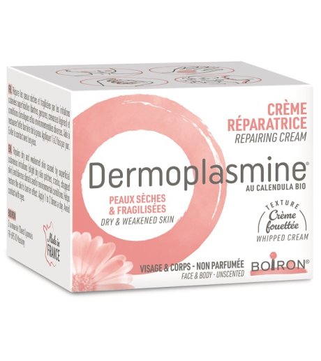 DERMOPLASMINE CR MOUSSE 20G