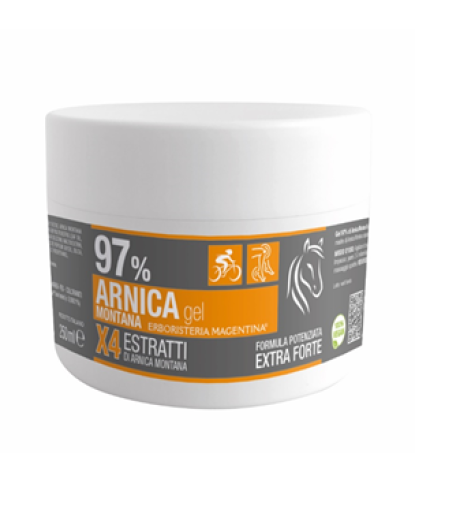 ARNICA 97% GEL 250ML ERB MAGENTI