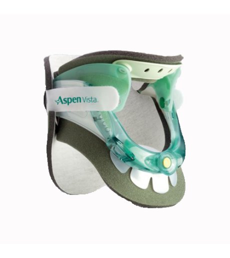 FGP Coll.Cerv.Biv.Vista