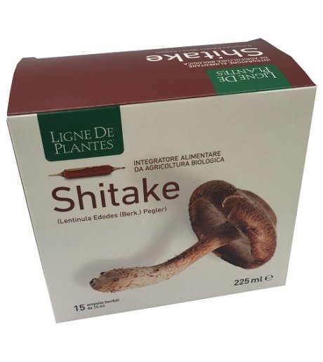 LIGNE SHITAKE BIO 15AMP 15ML