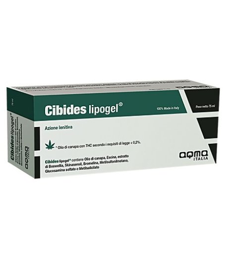 CIBIDES LIPOGEL 75ML