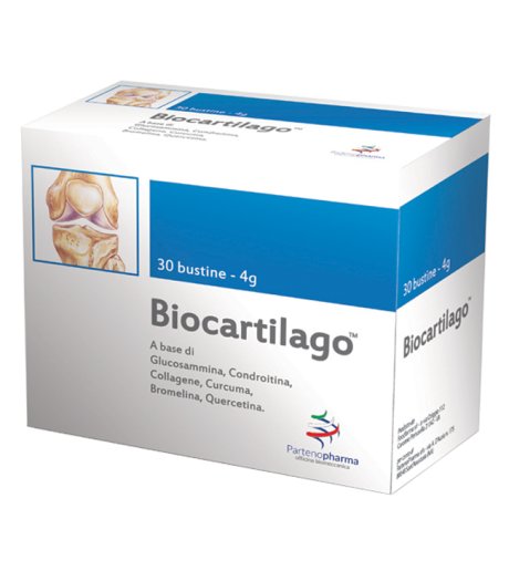 BIOCARTILAGO BS