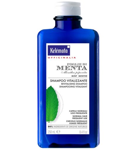 SHAMPOO MENTA 250ML