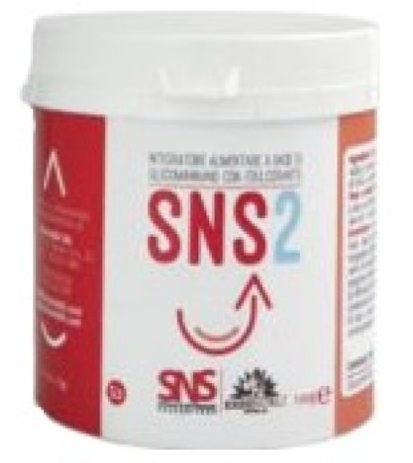 SNS2 100G