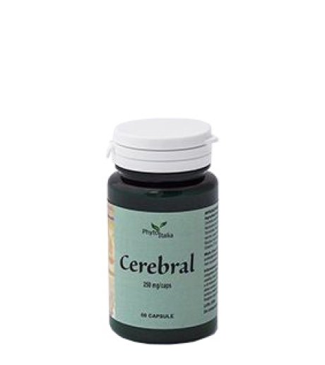 CEREBRAL AYURVED 60CPS