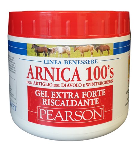 ARNICA 100'S GEL EX FT RISC500 ARNICA 100'S GEL EX FT RISC500