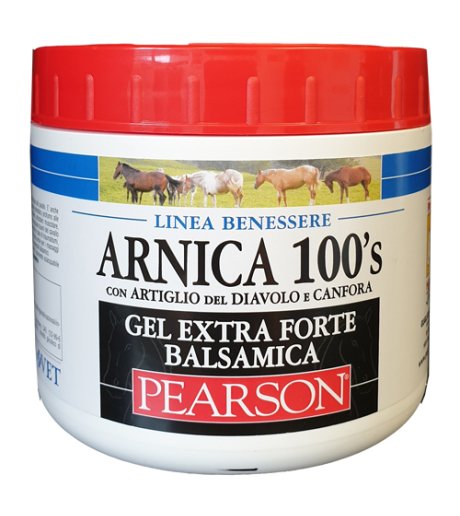 ARNICA 100 S EXTRA FORTE BALSA