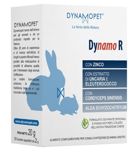 DYNAMO R 20BUST 2G