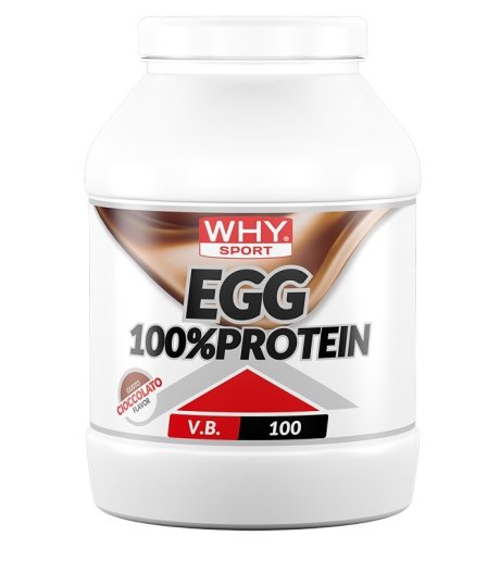 WHYSPORT EGG 100% PROTEIN CIOC