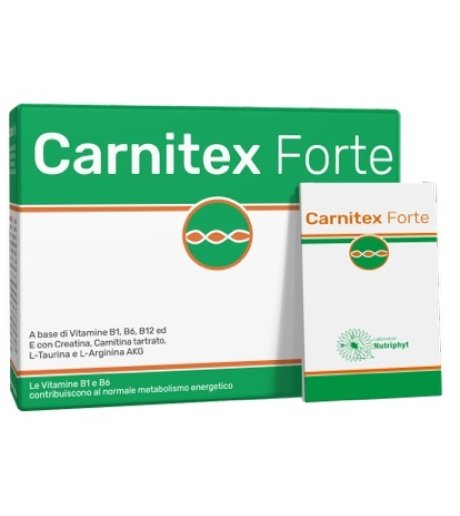 CARNITEX Forte 14 Bust.