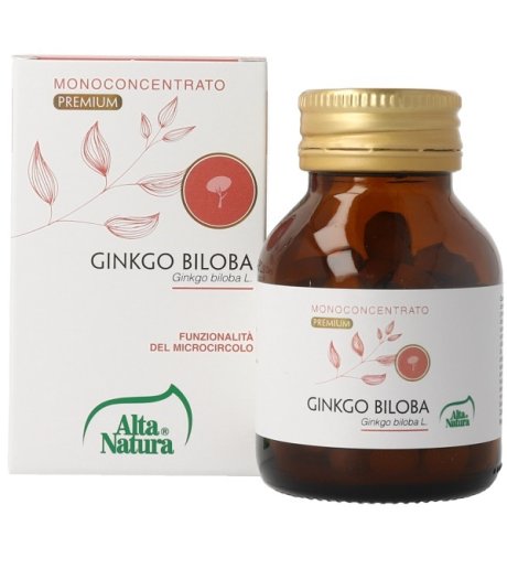 GINKGO BILOBA 100CPR 900MG