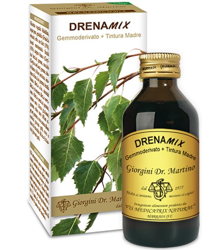 DRENAMIX LIQUIDO ANALC 100ML