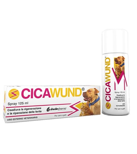 CICAWUND SPRAY 125ML