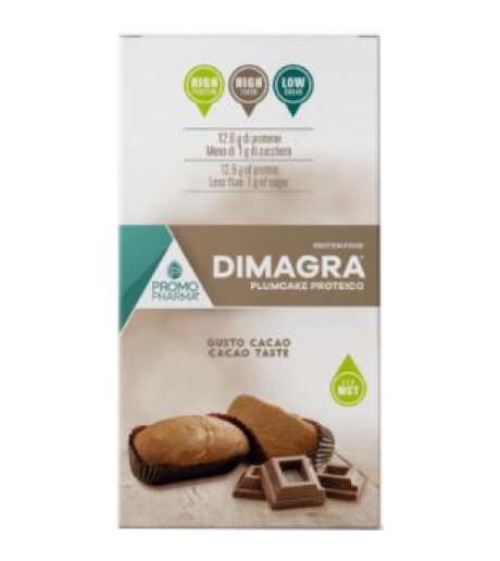 DIMAGRA PLUMCAKE CIOCCOLATO