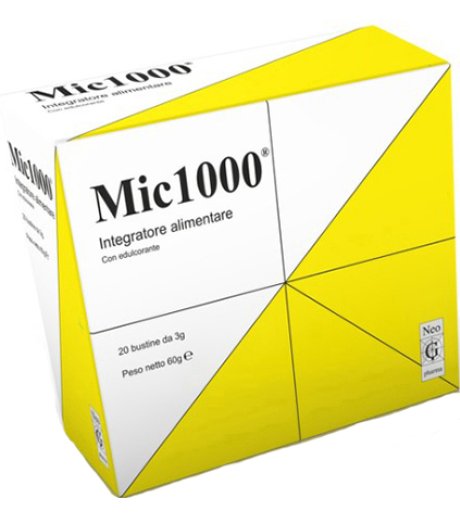 MIC 1000 20BUST