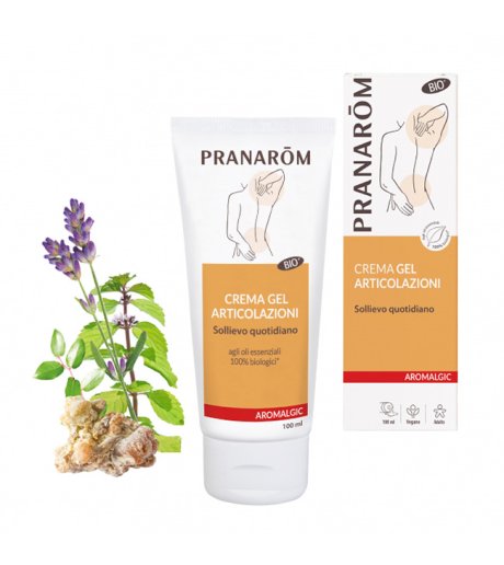 PRANAROM ALGIC Crema Art.100ml