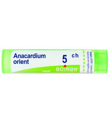 ANACARDIUM ORIENT 5CH GR