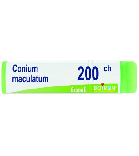 CONIUM MACULATUM 200CH GL