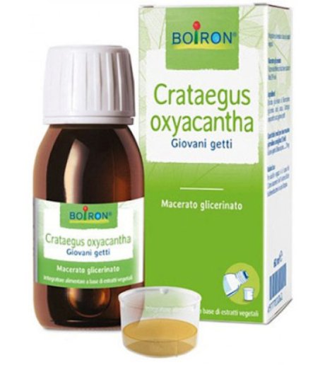 Crataegus Oxyacantha 60ml Tm