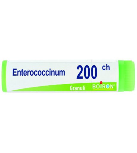 ENTEROCOCCINUM 200CH GL