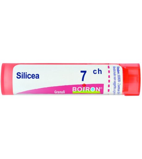 Silicea 7ch Gr