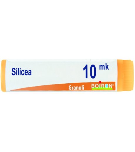 SILICEA XMK GL