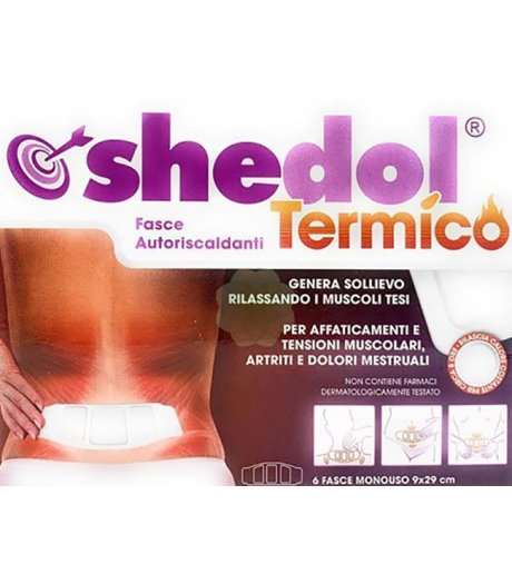 SHEDOL TERMICO CER 6PZ