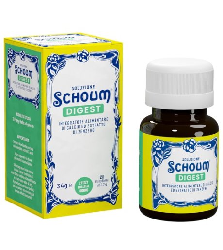 SOLUZIONE SCHOUM DIGEST 20FIZZ