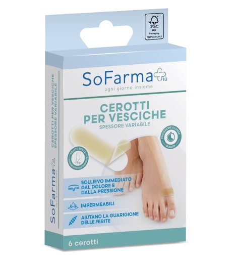 CEROTTO VESCICA PICCOLO 6PZ SF+