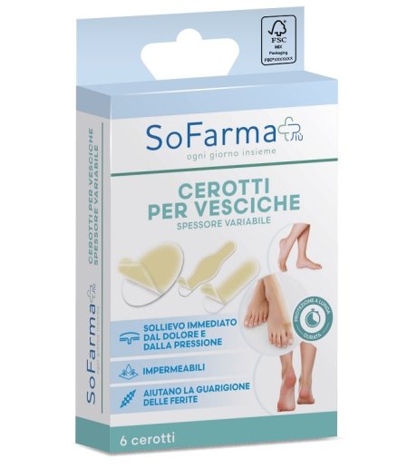 CEROTTO VESCICA ASS SF