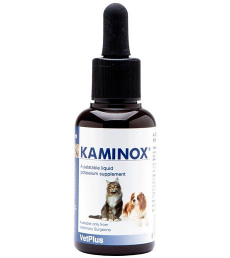 KAMINOX Sciroppo 60ml