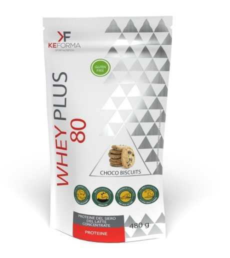 WHEY PLUS 80 CHOCO BISCUIT480G