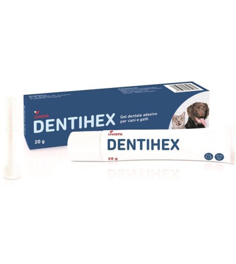 DENTIHEX Gel Dent.CaniGatti20g