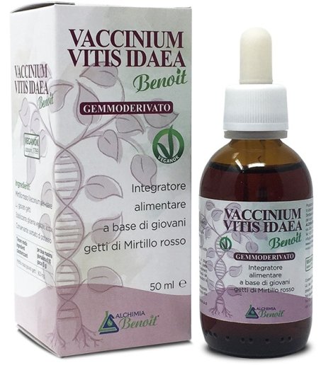 VACCINIUM VITIS IDAEA GEMM50ML