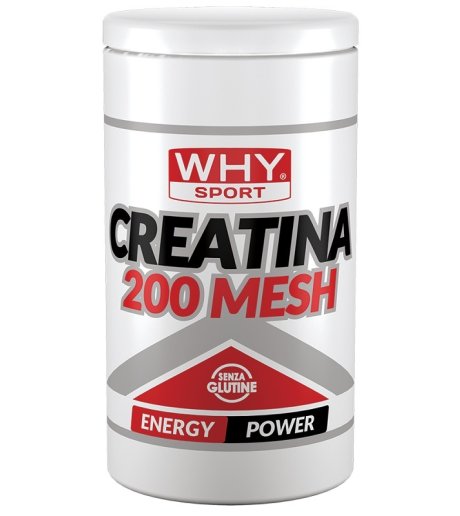 WHYSPORT CREATINA 200 MESH500G