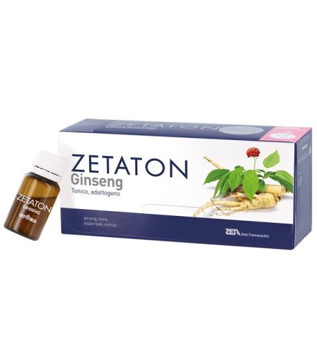 ZETATON GINSENG 12FX10ML<