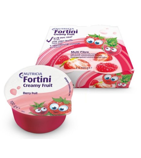 FORTINI CREAMY FRUIT FR RO 4PZ