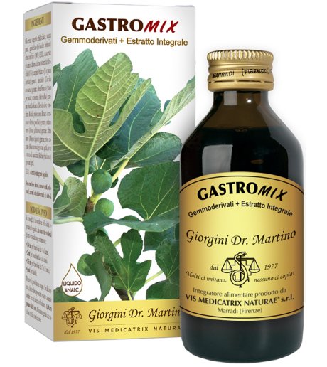 GASTROMIX LIQUIDO ANALC 100ML