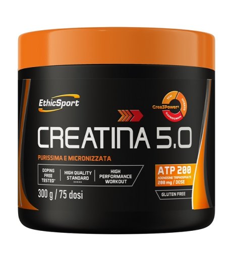 CREATINA 5.0 300G