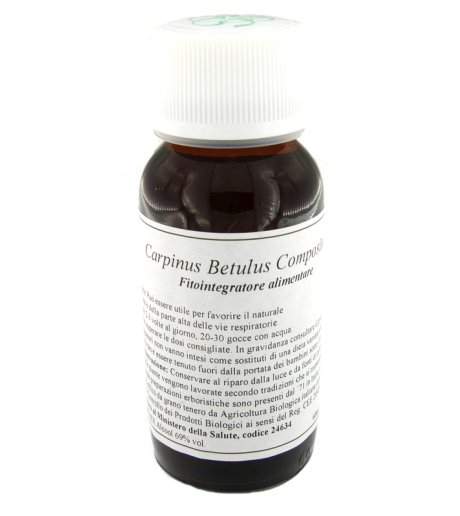 20N CARPINUS BETULUS COMP LVS