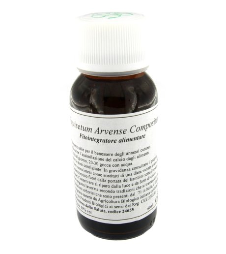 LVS 41N Equisetum Arv.Comp.