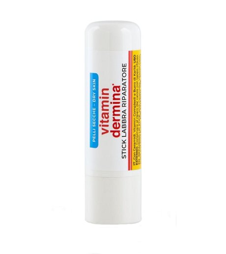 VITAMINDERMINA STICK LAB 4,5ML