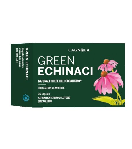 GREEN ECHINACI 36CPS GREEN ECHINACI 36CPS