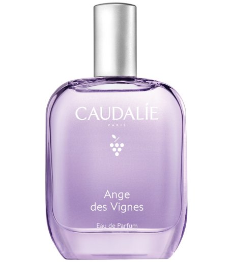 ANGE DES VIGNES EDP 50ML