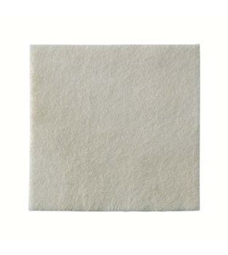 BIATAIN ALGINATE AG 10X10 10PZ BIATAIN ALGINATE AG 10X10 10PZ