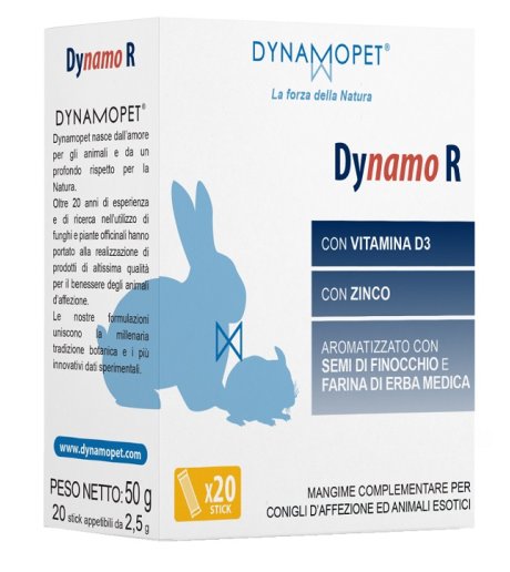 DYNAMO R 20STICK 2 5G