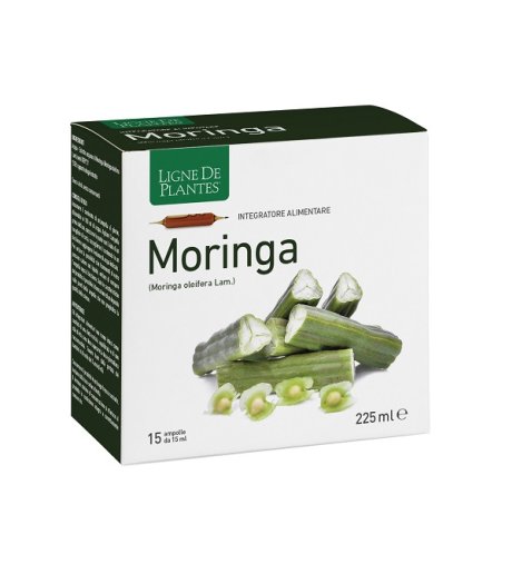 MORINGA 15AB 15ML MORINGA 15AB 15ML
