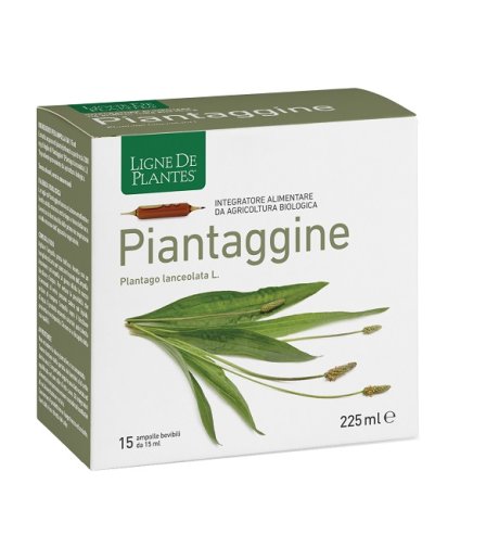PIANTAGGINE 15AMP 15ML NATURA